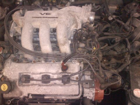 1993 Ford Probe - Close-up of a V6 DOHC 24-valve engine, identified by Ford branding on the valve cover.