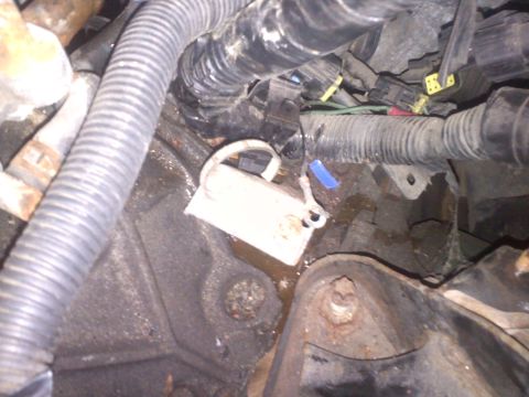 1993 Ford Probe - Close-up view of engine components, including hoses, wiring, and a white label with a blue zip tie.