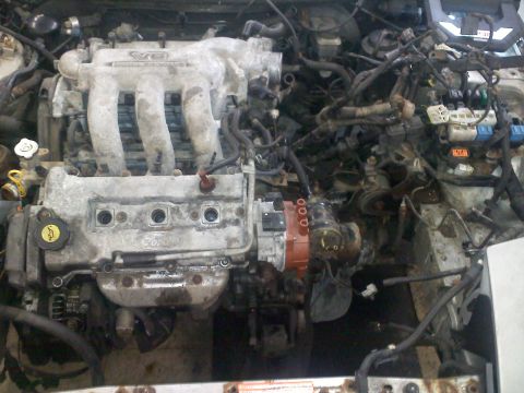 1993 Ford Probe - Close-up of a Ford V6 engine, likely out of a vehicle for repair or modification.