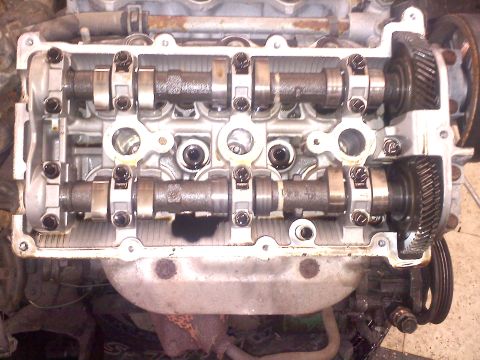 1993 Ford Probe - Close-up view of an engine's internal valve train components, including camshafts and gears.
