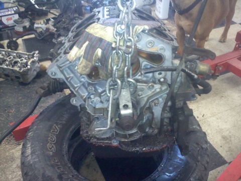 1993 Ford Probe - An engine block is suspended by chains, resting on a tire, with other engine parts and a dog in the background.