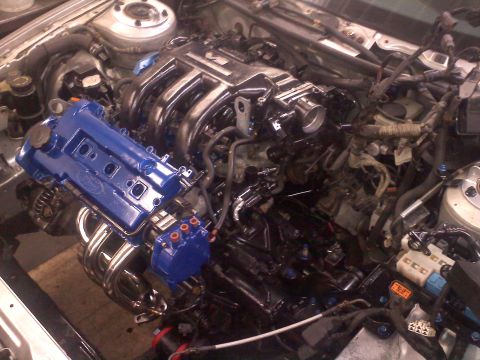 1993 Ford Probe - Close-up view of a car's engine bay, a blue Ford valve cover and chrome exhaust headers.