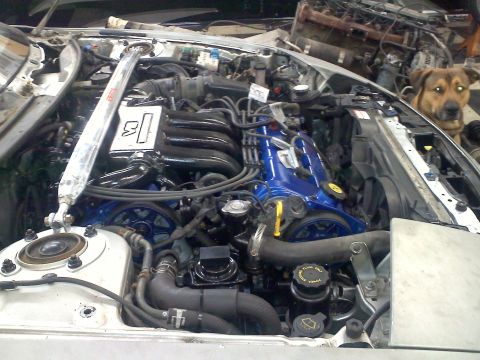 1993 Ford Probe - Engine bay details with a dog in the background.