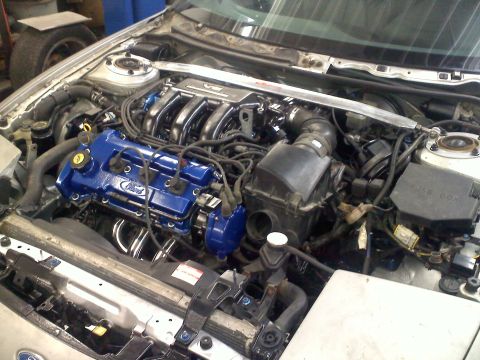 1993 Ford Probe - The engine bay of a Ford vehicle, blue valve covers and chrome headers.