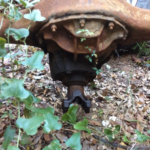 1979 Ford Bronco - A rusty rear differential assembly is partially obscured by green ivy and fallen leaves.