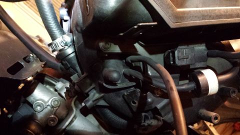 2002 BMW 3 Series - A close-up view of various engine parts, including hoses, clamps, and electrical connectors.