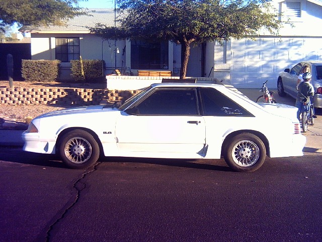 1990 Ford Mustang “whitey ford”