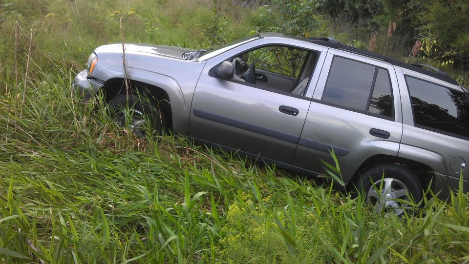 Silver SUV with tinted windows, partially obscured by tall grass. The front left wheel is turned