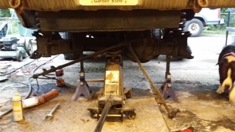 1983 Ford Bronco - Vehicle undercarriage being worked on, with a dog nearby and another vehicle in the background.