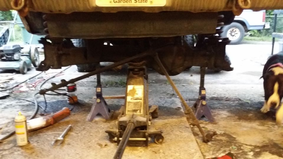Undercarriage of a vehicle supported by jack stands, with a dog in the background and another vehicle partially visible