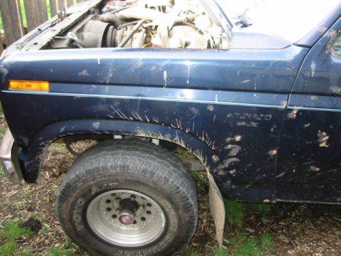 1985 Ford Bronco - This blue SUV is heavily covered in mud, with its hood open to reveal the engine.