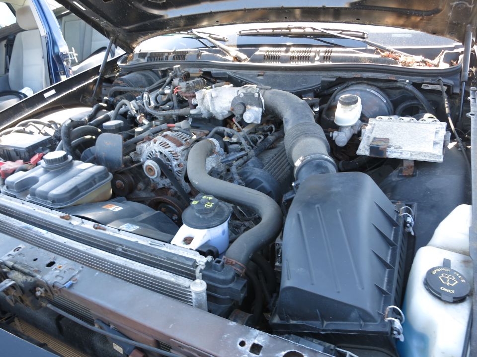 Engine bay with hoses and belts visible