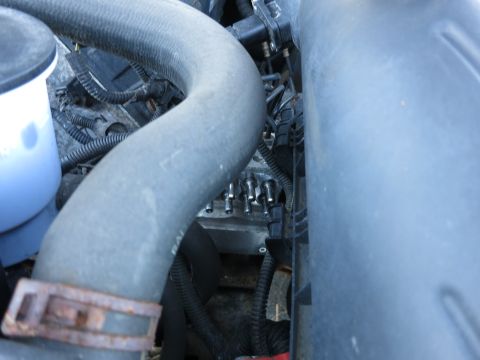 2001 Ford Crown Victoria - Engine bay detail showing various hoses and wiring harnesses.