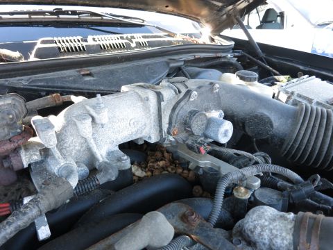 2001 Ford Crown Victoria - Engine bay components, including intake manifold and air intake system, are visible in this close-up shot.