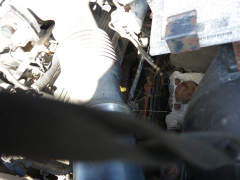 2001 Ford Crown Victoria - Close-up view of a cluttered engine compartment with visible rust and cobwebs.