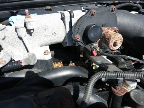 2001 Ford Crown Victoria - A close-up view of a vehicle's engine throttle body and associated components.