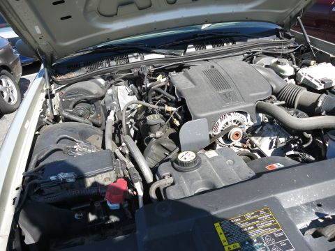 2001 Ford Crown Victoria - Engine bay of a 2001 Ford Crown Victoria, showing the V8 engine and associated components.
