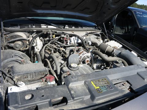 2001 Ford Crown Victoria - The engine bay of a 2001 Ford Crown Victoria is shown, a VIN plate and a maintenance sticker with readable text.