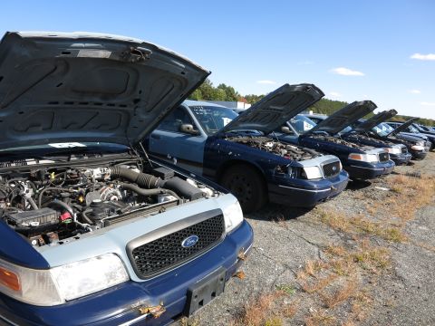 2001 Ford Crown Victoria - A row of Ford Crown Victoria police cars sit in a lot with their hoods open under a clear blue sky.