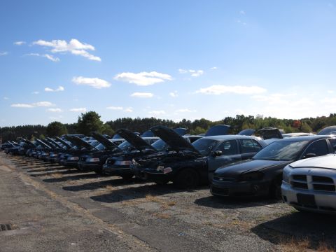 2001 Ford Crown Victoria - A line of black Ford Crown Victorias, likely police cruisers, sit with their hoods open in a vehicle graveyard under a blue sky.