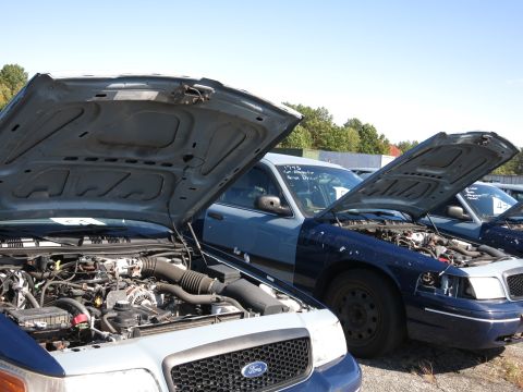 2001 Ford Crown Victoria - Multiple Ford Crown Victorias are parked with their hoods open, revealing their engines under a clear sky.