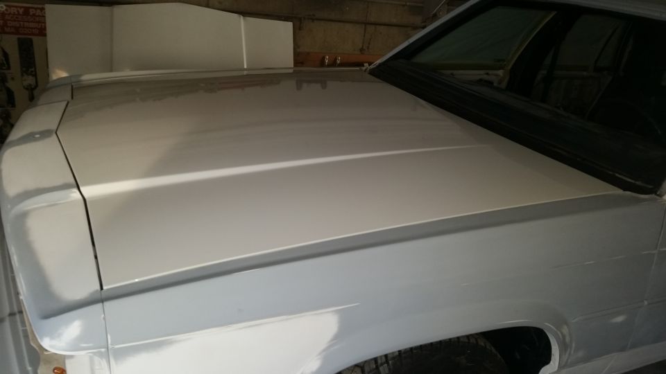 White 1991 Ford Crown Victoria LTD hood and fender, 3q-front view
