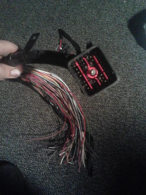 1990 Ford F-250 - the trucks end of the Explorer wiring harness. 39 wires I need to identify and adapt to the F250 harness. the F250 wont have a lot of the c…