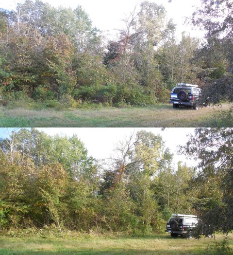 1983 Ford Bronco - Bush-hogging, trying to find a corner stake.