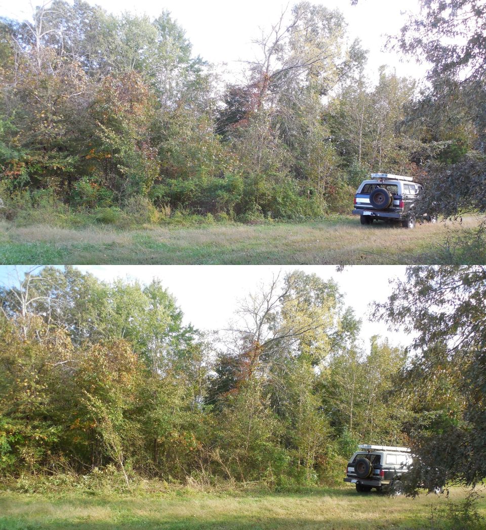 Bush-hogging, trying to find a corner stake.