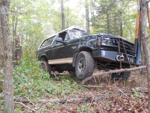 1983 Ford Bronco - This tree was in my way...