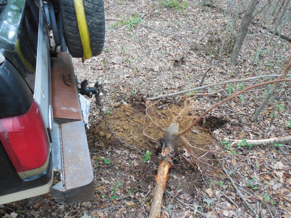 This one got hung under the rear bumper & snapped, so I ripped it out.