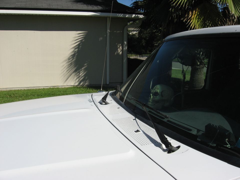 White truck hood and windshield with a skull on the dashboard. Building and palm trees in background