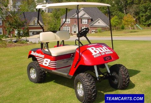 1996 Ford Bronco - My Dale JR Golf Cart