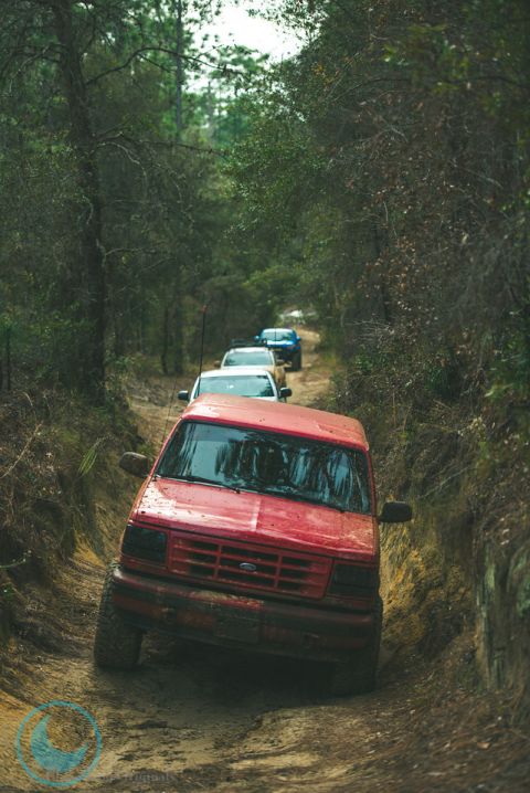 1995 Ford Bronco - A line of vehicles navigates a narrow, muddy trail surrounded by dense forest.