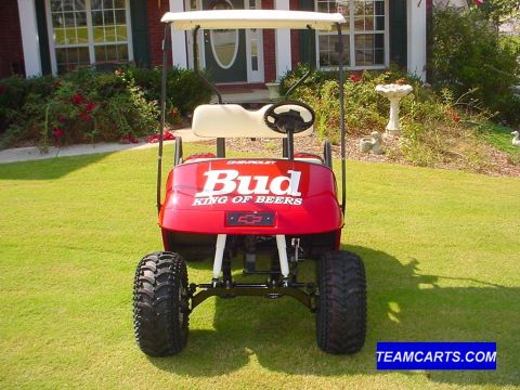 1996 Ford Bronco - My Dale JR Golf Cart
