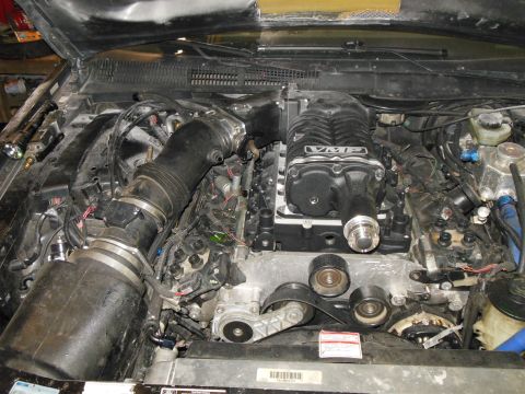 1996 Ford Thunderbird photo