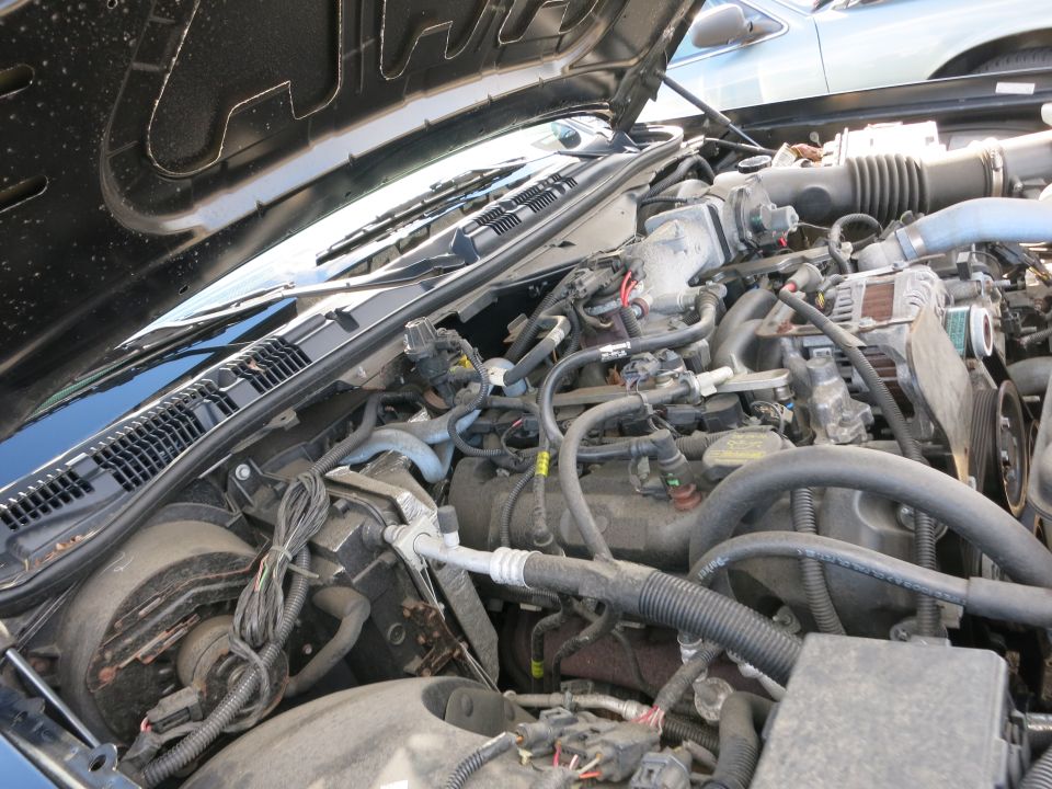 Engine bay of a 1991 Ford Crown Victoria LTD