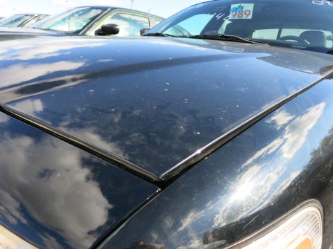 1991 Ford LTD Crown Victoria - Close-up of a black 1991 Ford Crown Victoria LTD's hood and fender, with another vehicle visible in the background.