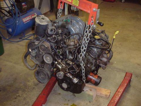 1989 Ford Bronco - This engine is being worked on, likely removed from a vehicle for repair or rebuilding.