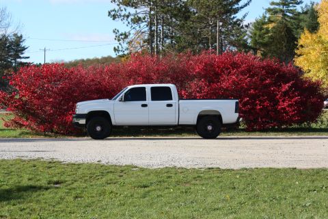 2006 Chevrolet Silverado 2500 - A white 2006 Chevrolet Silverado 2500 crew cab pickup truck is parked on a gravel road with red bushes in the background.