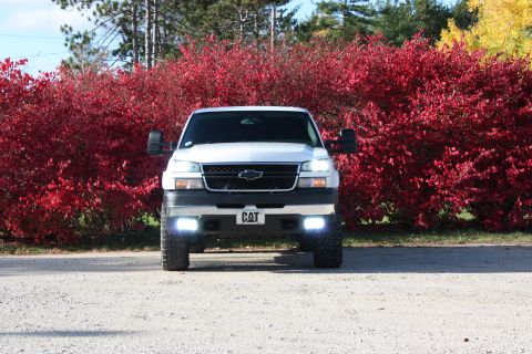 2006 Chevrolet Silverado 2500 - A white Chevrolet Silverado 2500 truck is parked in front of a vibrant red bush.