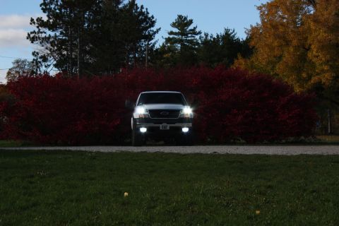 2006 Chevrolet Silverado 2500 - Silver Chevrolet Silverado pickup truck parked in front of a red bush with trees in the background.