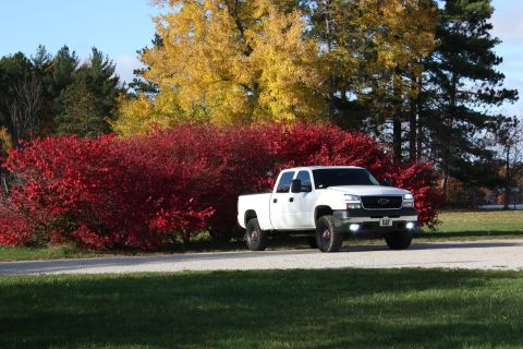 2006 Chevrolet Silverado 2500 - A white pickup truck is parked on the side of a road with colorful autumn foliage in the background.
