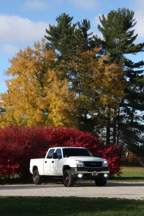 2006 Chevrolet Silverado 2500 - A white 2006 Chevrolet Silverado 2500 pickup truck is seen parked in front of vibrant red and yellow autumn foliage.