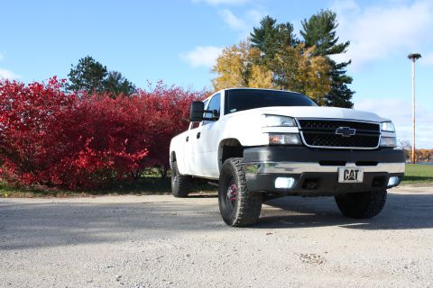 2006 Chevrolet Silverado 2500 - A white pickup truck is parked outside with red bushes in the background and a CAT logo on the license plate.