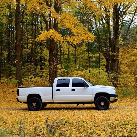 2006 Chevrolet Silverado 2500 - A white pickup truck sits on a road covered in autumn leaves, surrounded by trees with yellow foliage.