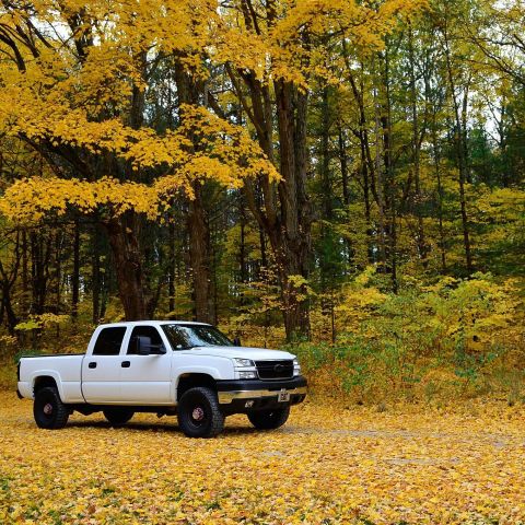 2006 Chevrolet Silverado 2500 - A white 2006 Chevrolet Silverado 2500 pickup truck sits parked amidst a carpet of fallen yellow leaves and trees in autumn.