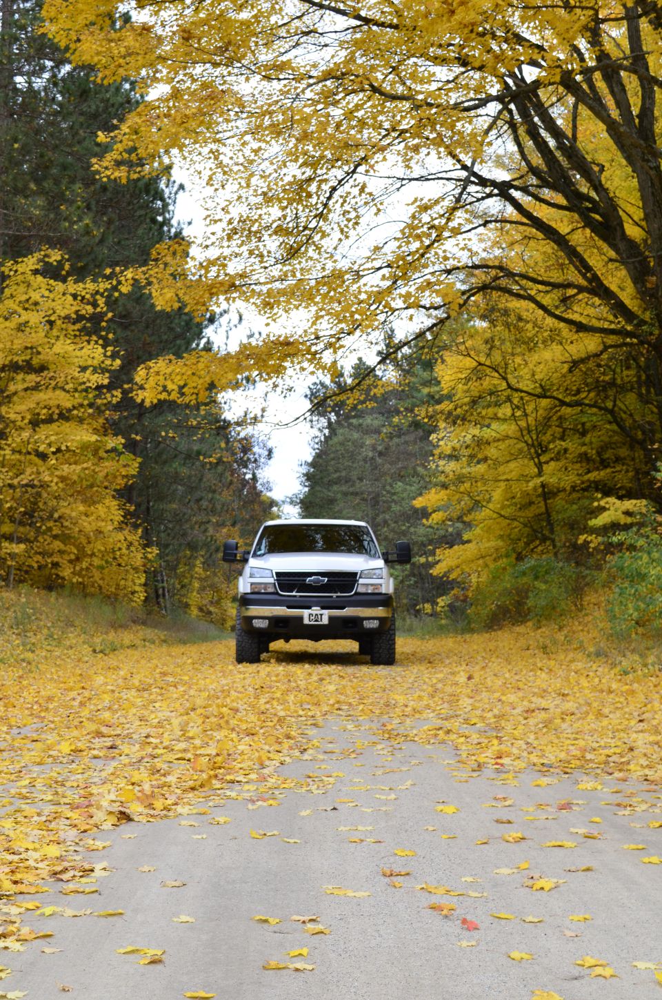 White 2006 Chevrolet Silverado 2500 front view on a road covered in yellow fall leaves