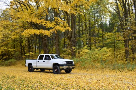 2006 Chevrolet Silverado 2500 - A white pickup truck sits on a road covered in fallen yellow leaves, surrounded by trees in fall foliage.