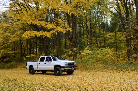 2006 Chevrolet Silverado 2500 - A white 2006 Chevrolet Silverado 2500 is parked on a road covered in fallen yellow leaves, with autumn trees in the background.
